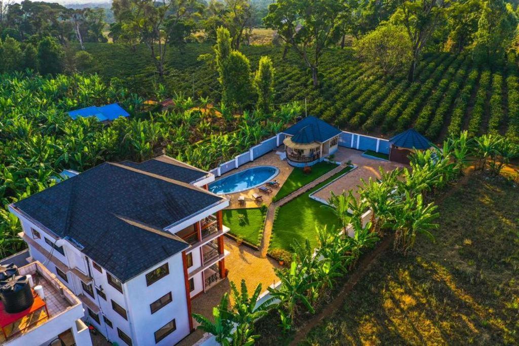 Dual Mountain View Lodge Моші Екстер'єр фото